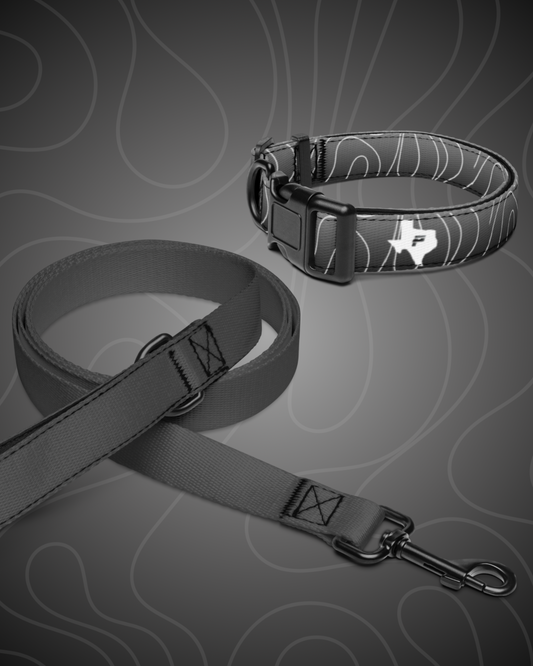 Collar+ Leash - Stealth