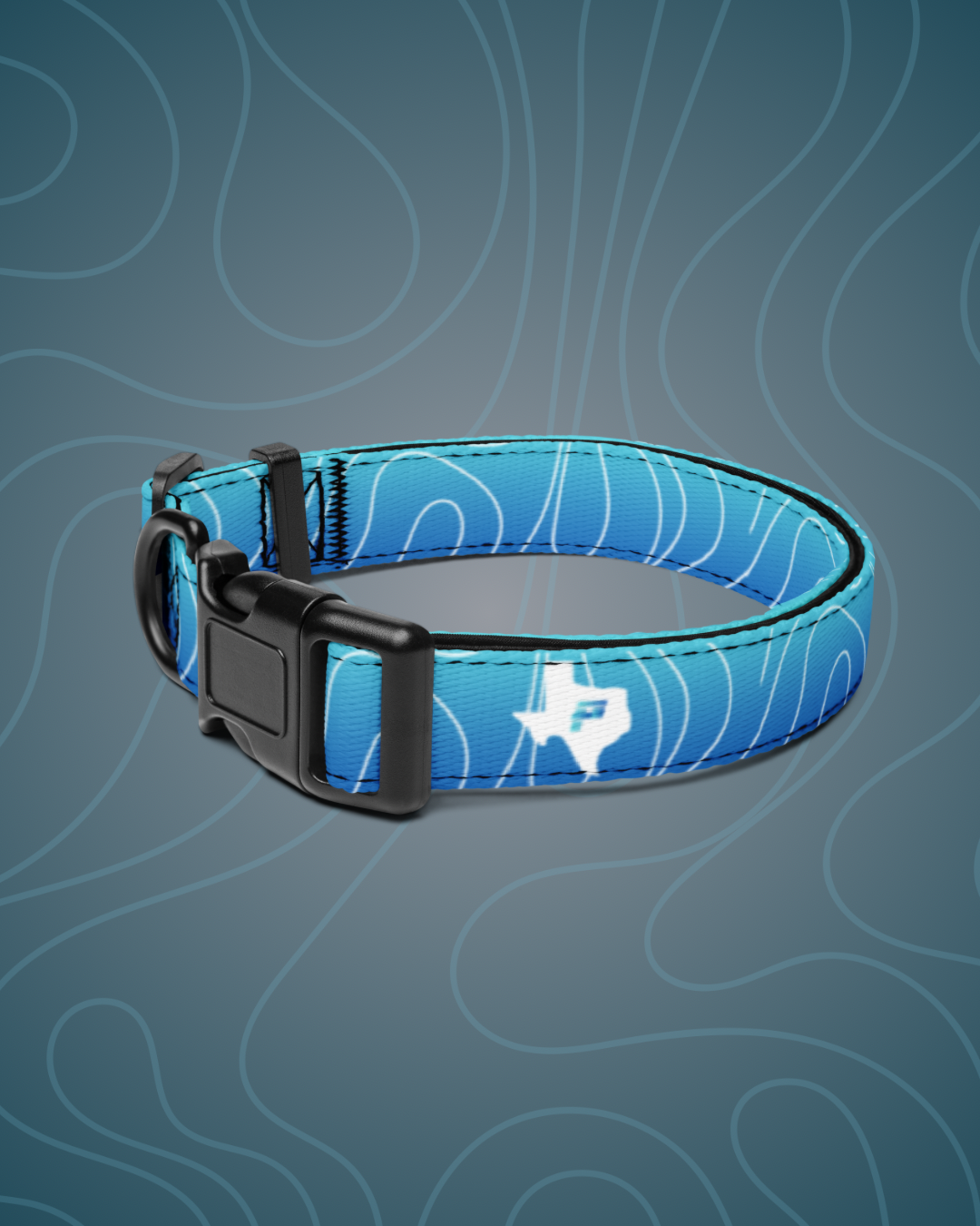 Luminous+ Dog Collar (Aqua)
